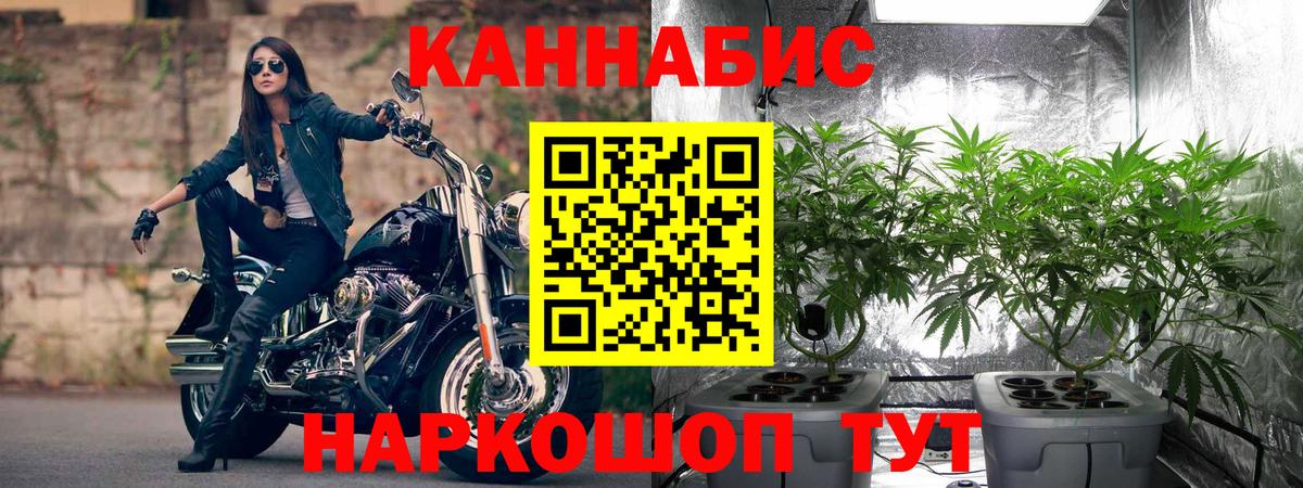Конопля OG Kush  Вход с VPN  Шишки марихуана марихуана  Малгобек  Бошки Шишки AK-47 